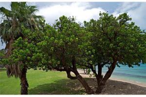 מלון Napili-Honokowai Beautiful Ground Floor! Corner! Just Steps To Ocean And Pool!120 מראה חיצוני תמונה